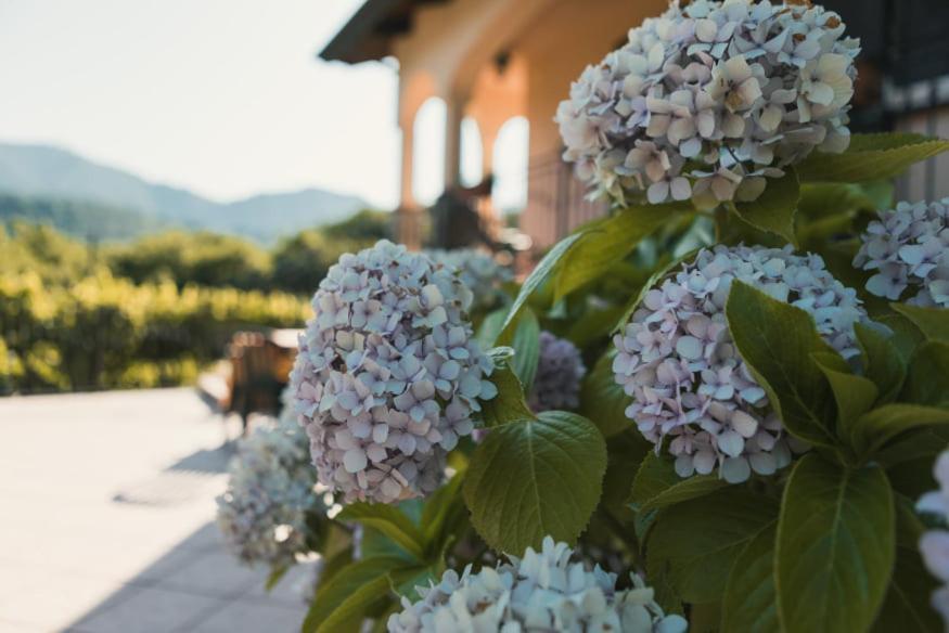 Il Frescale Country House Tramonti Luaran gambar